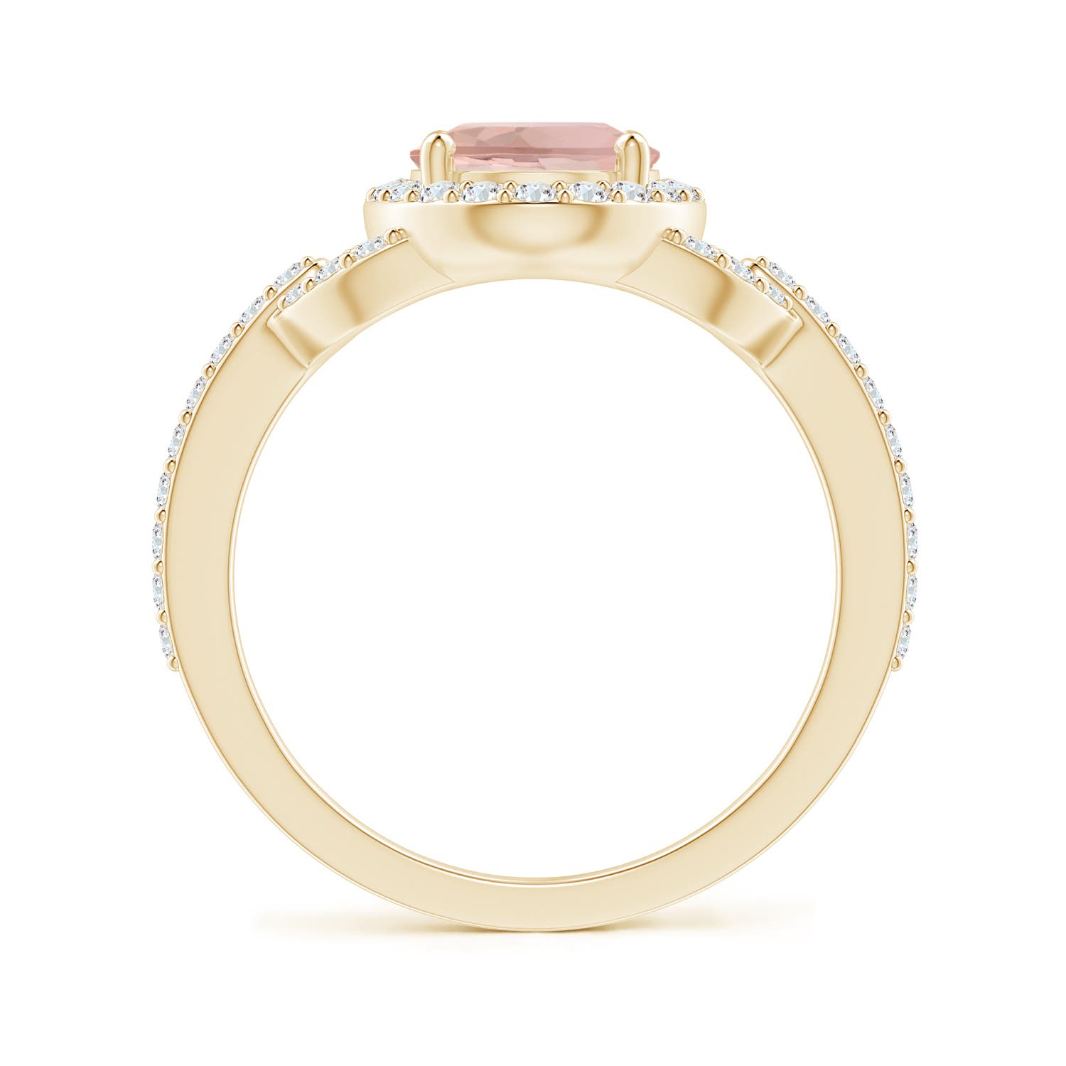 AAA - Morganite / 2.14 CT / 14 KT Yellow Gold