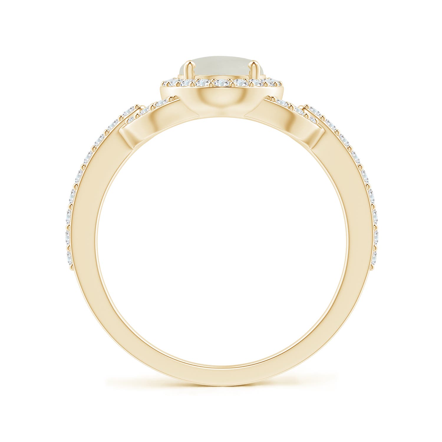 AAA - Moonstone / 1.47 CT / 14 KT Yellow Gold