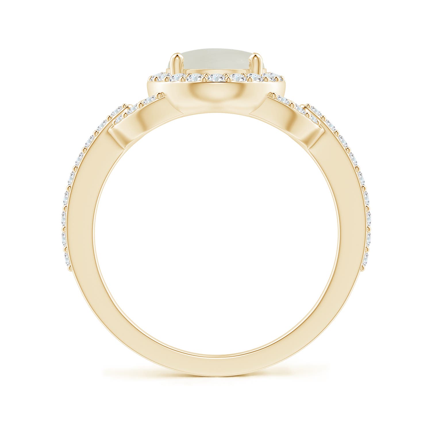 AAA - Moonstone / 2.19 CT / 14 KT Yellow Gold