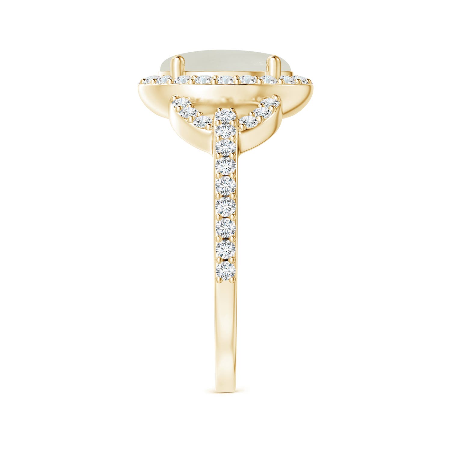 AAA - Moonstone / 2.19 CT / 14 KT Yellow Gold