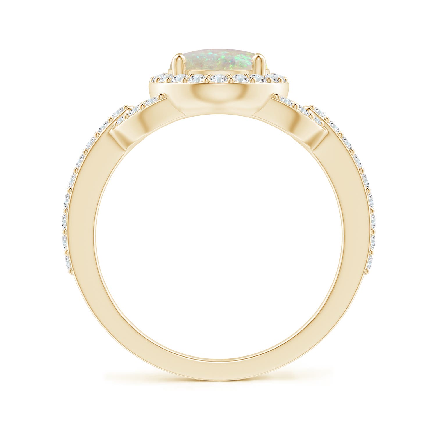 AAA - Opal / 1.59 CT / 14 KT Yellow Gold