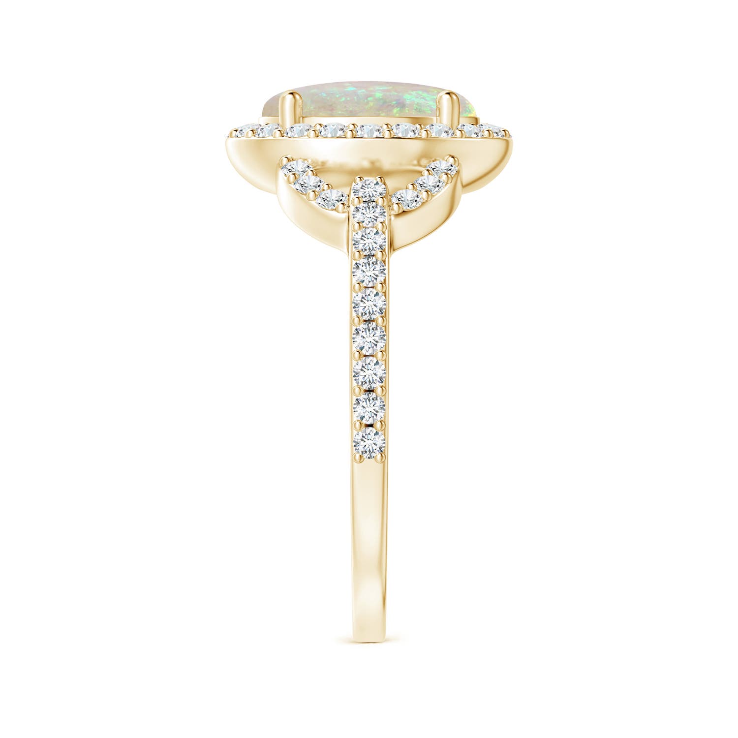 AAA - Opal / 1.59 CT / 14 KT Yellow Gold