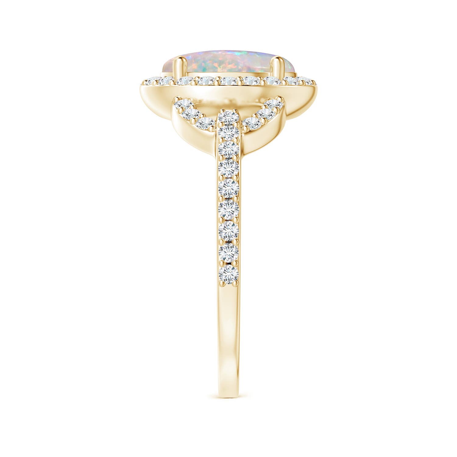 AAAA - Opal / 1.59 CT / 14 KT Yellow Gold