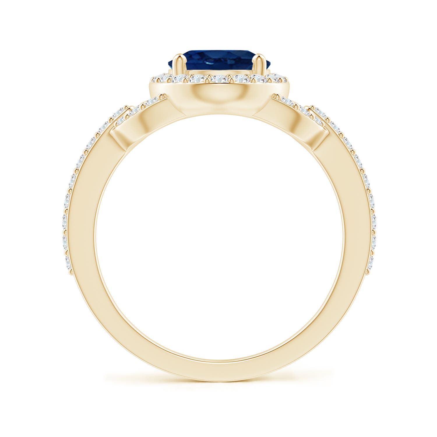 AA - Blue Sapphire / 2.49 CT / 14 KT Yellow Gold