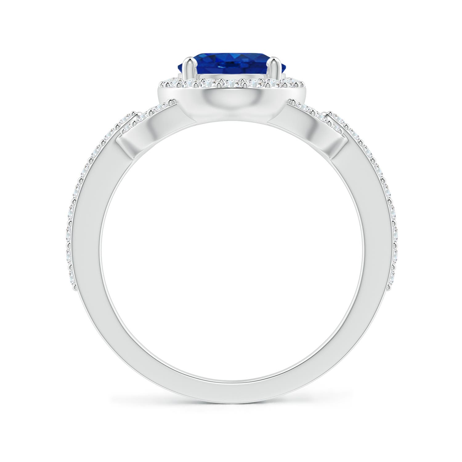 AAA - Blue Sapphire / 2.49 CT / 14 KT White Gold