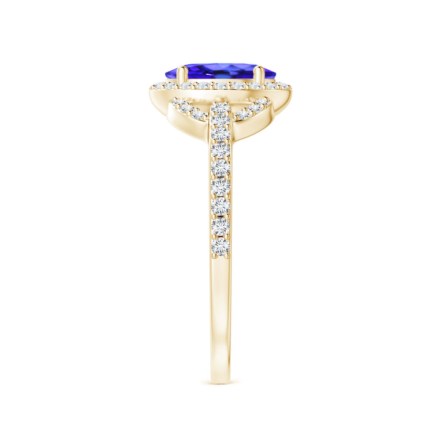 AAA - Tanzanite / 1.14 CT / 14 KT Yellow Gold