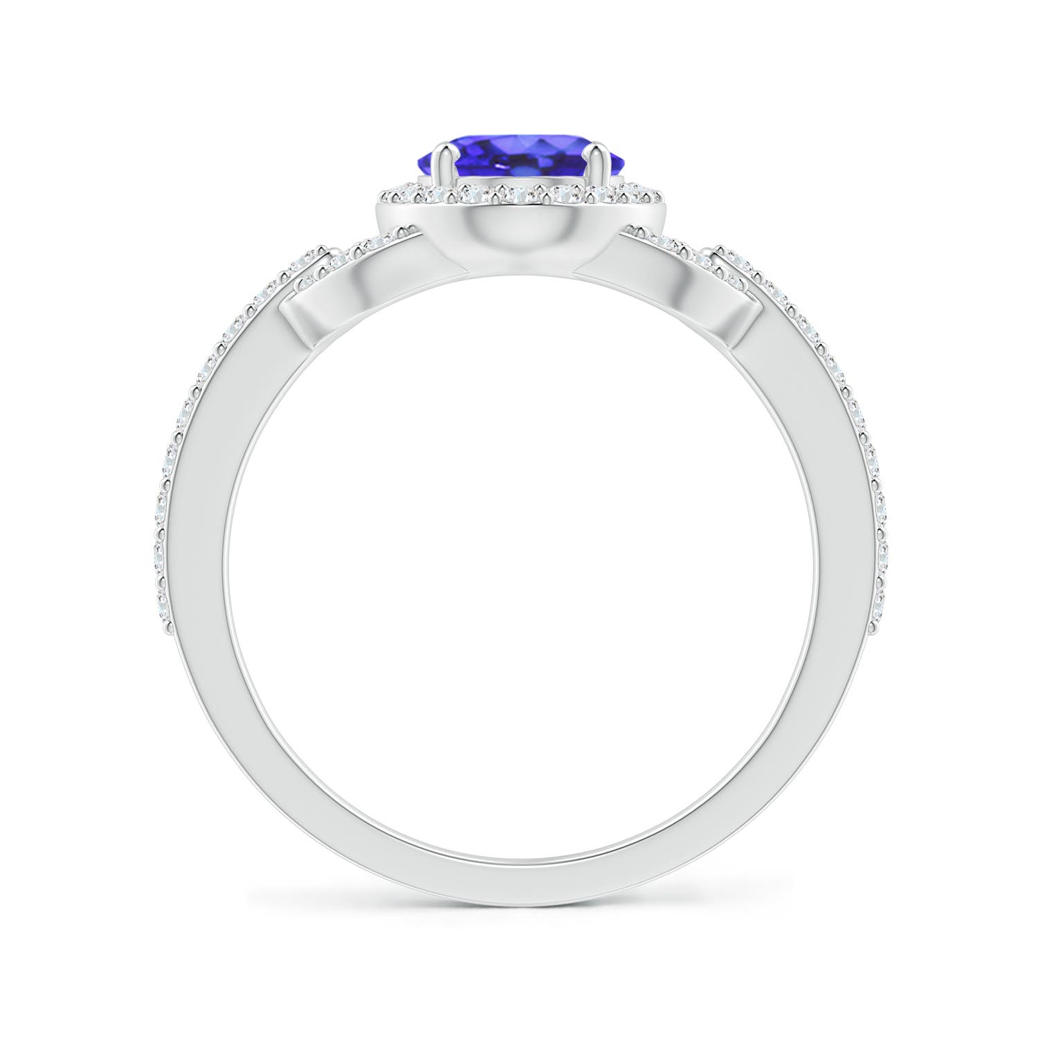 AA - Tanzanite / 1.62 CT / 14 KT White Gold