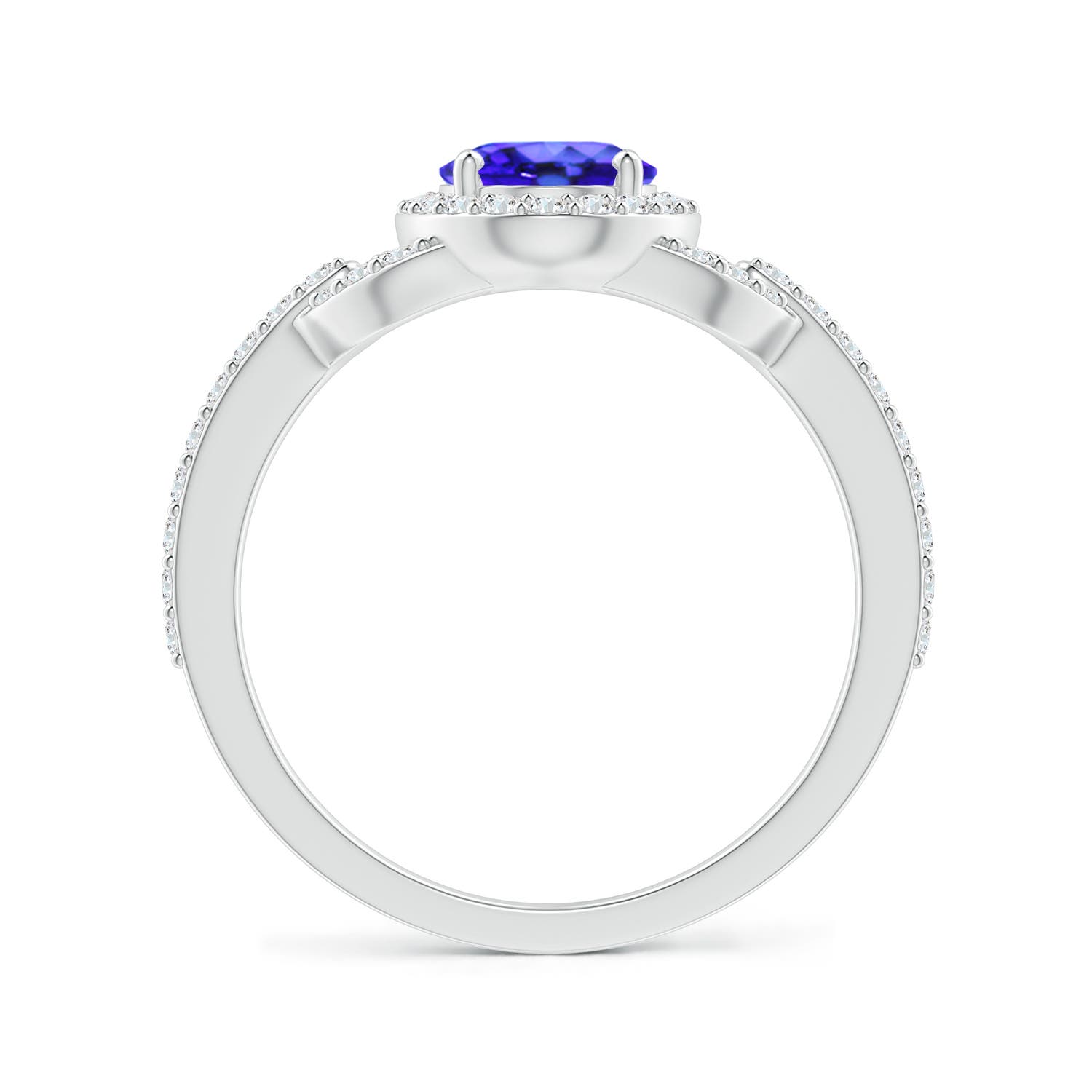 AAA - Tanzanite / 1.62 CT / 14 KT White Gold