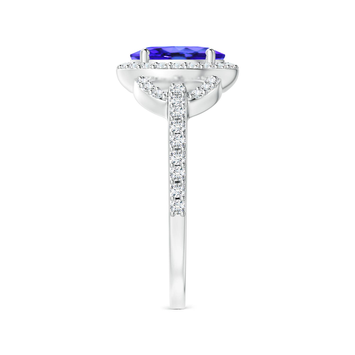 AAA - Tanzanite / 1.62 CT / 14 KT White Gold