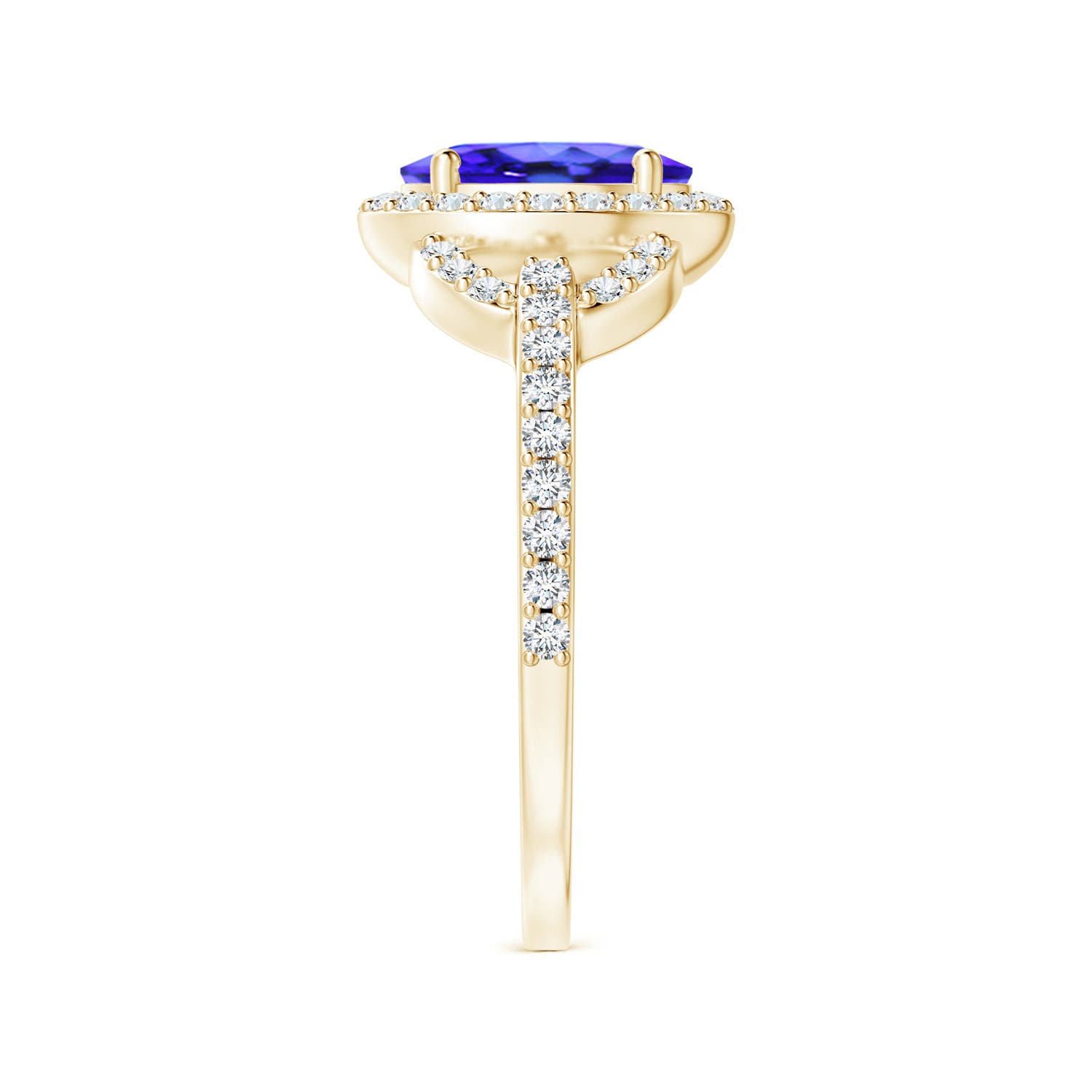 AAA - Tanzanite / 1.62 CT / 14 KT Yellow Gold