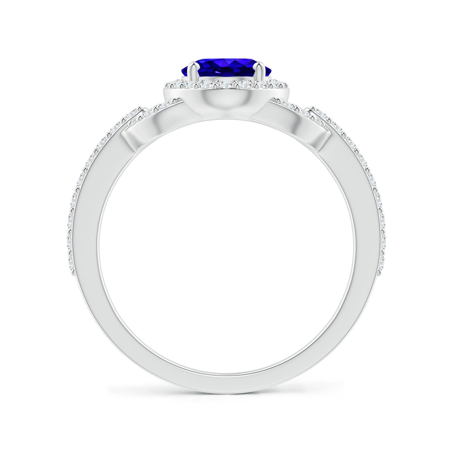 AAAA - Tanzanite / 1.62 CT / 14 KT White Gold