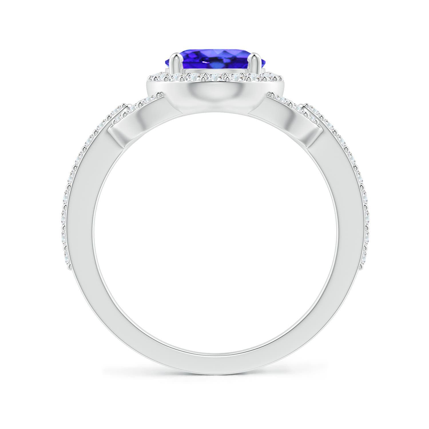 AAA - Tanzanite / 2.39 CT / 14 KT White Gold