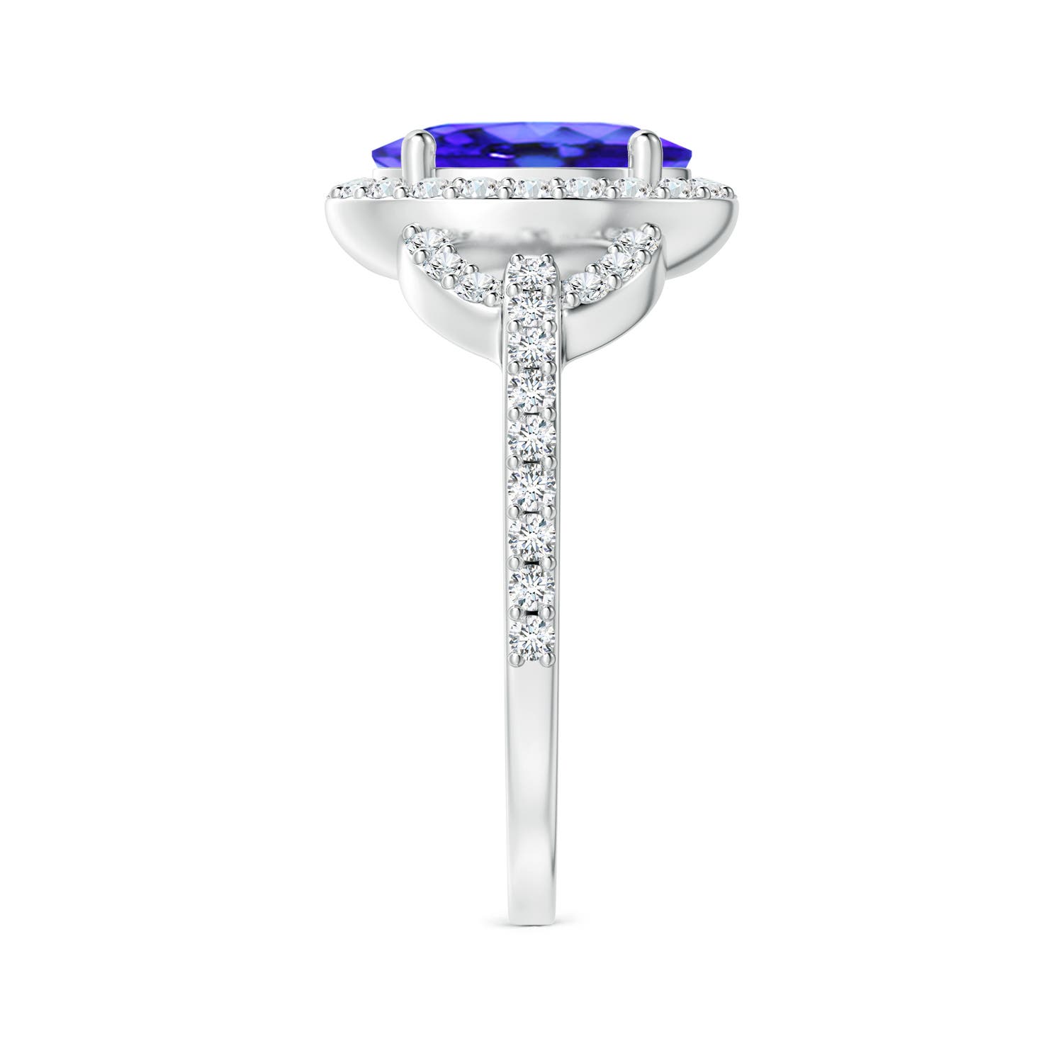 AAA - Tanzanite / 2.39 CT / 14 KT White Gold