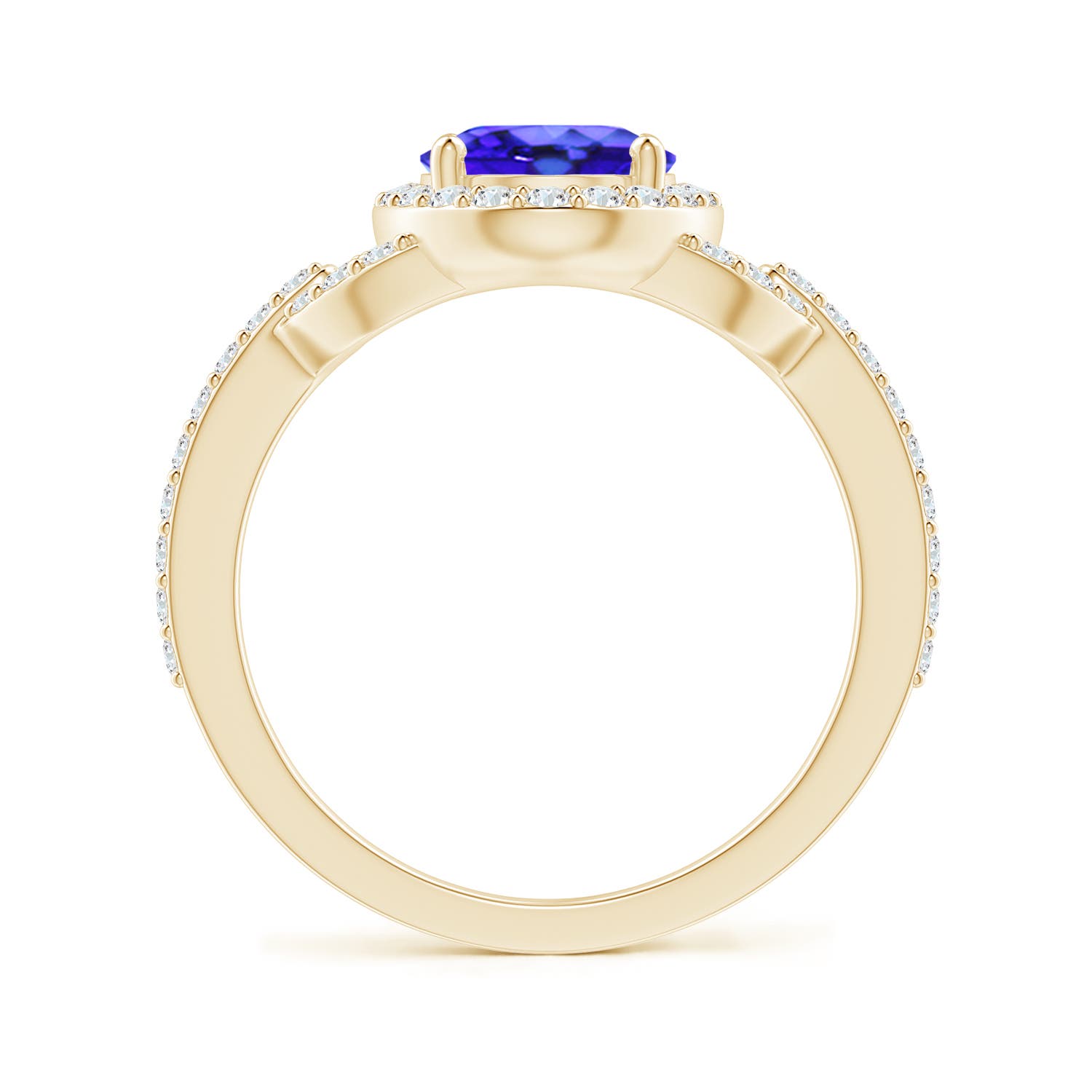 AAA - Tanzanite / 2.39 CT / 14 KT Yellow Gold