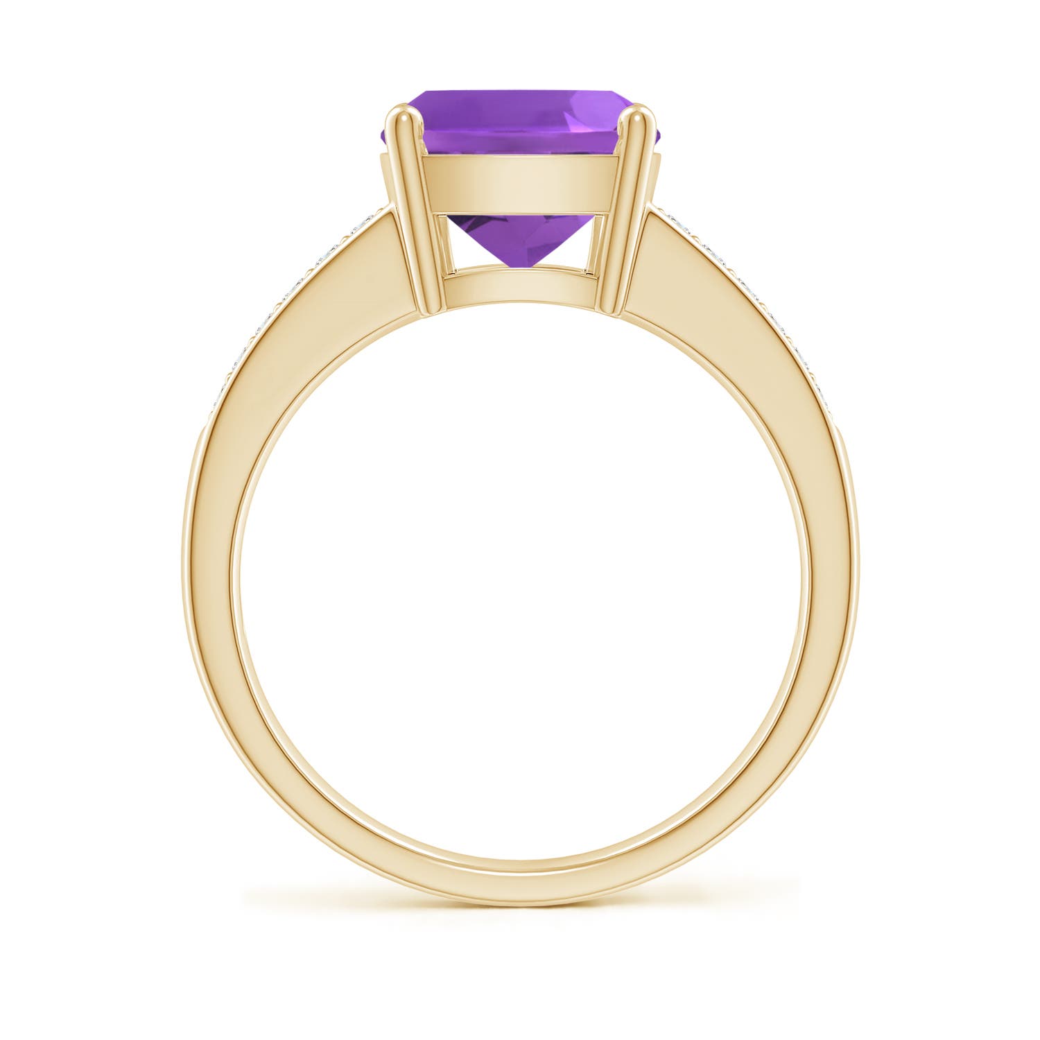 AAA - Amethyst / 2.87 CT / 14 KT Yellow Gold