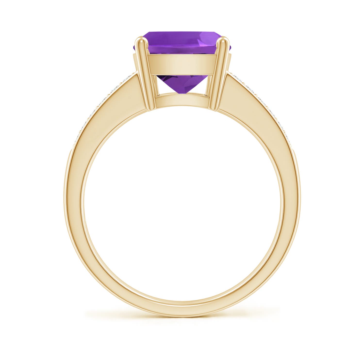 AAAA - Amethyst / 2.87 CT / 14 KT Yellow Gold