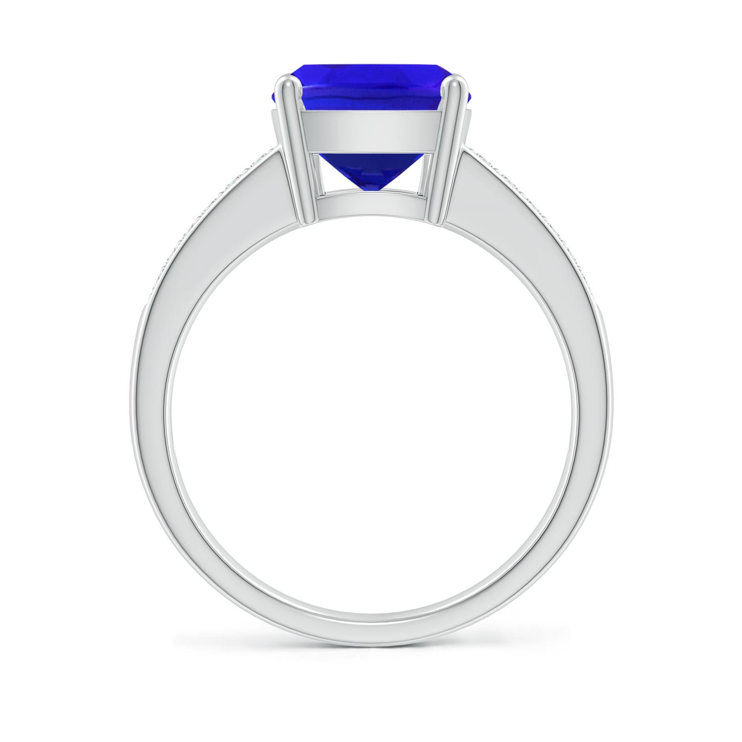 AAA - Tanzanite / 2.77 CT / 14 KT White Gold