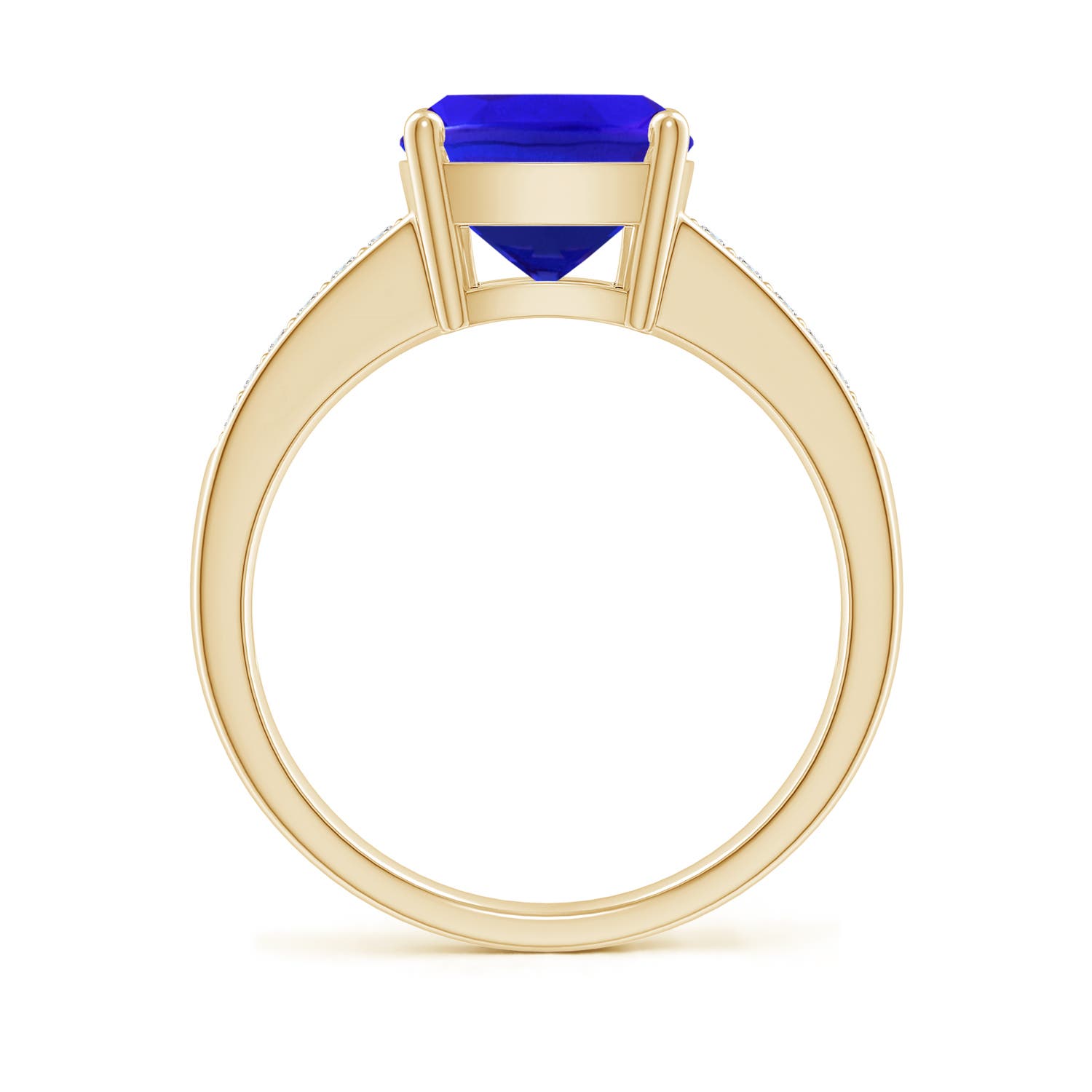 AAA - Tanzanite / 2.77 CT / 14 KT Yellow Gold