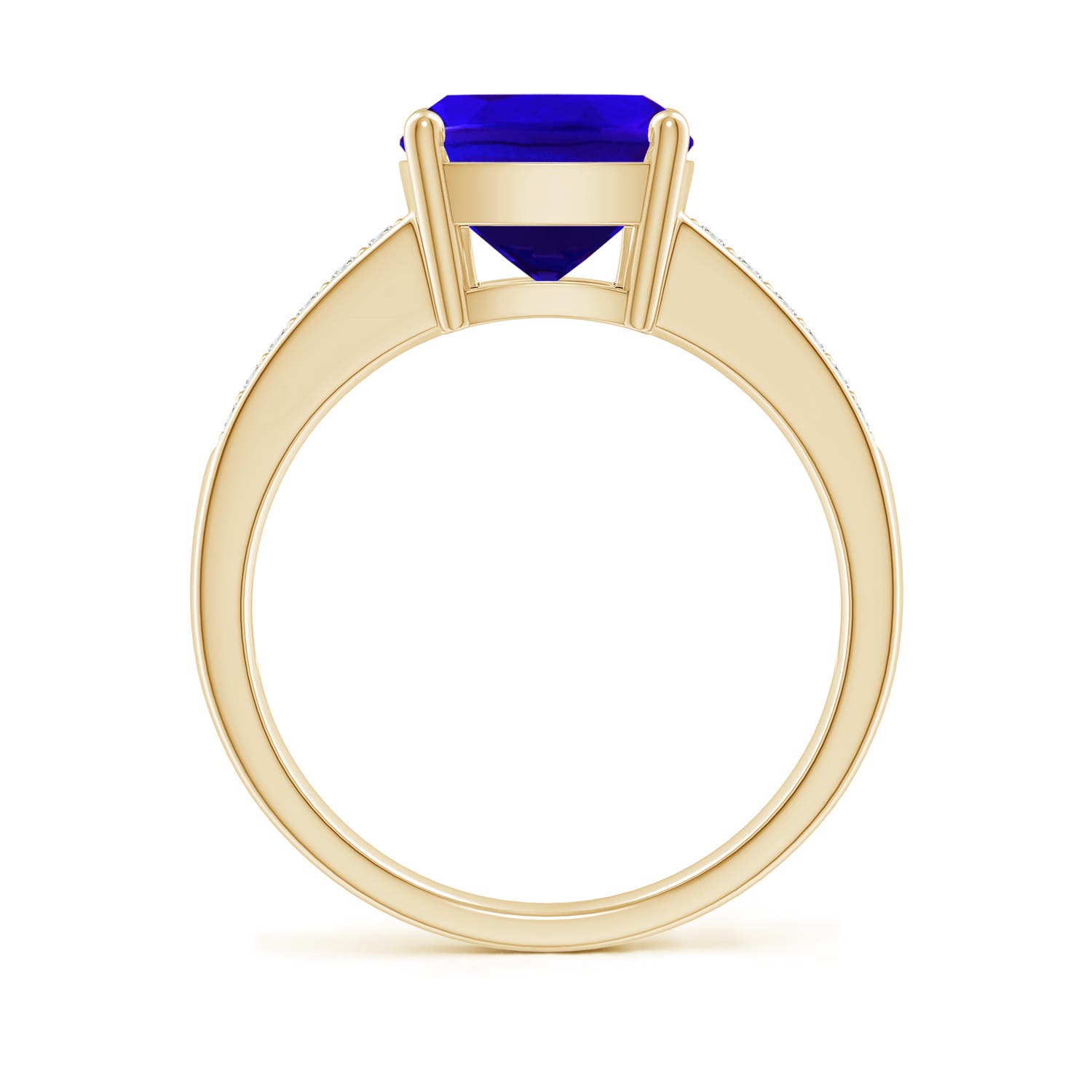 AAAA - Tanzanite / 2.77 CT / 14 KT Yellow Gold