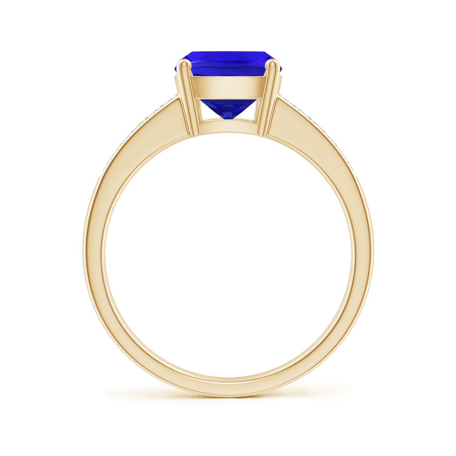 AAA - Tanzanite / 2.62 CT / 14 KT Yellow Gold