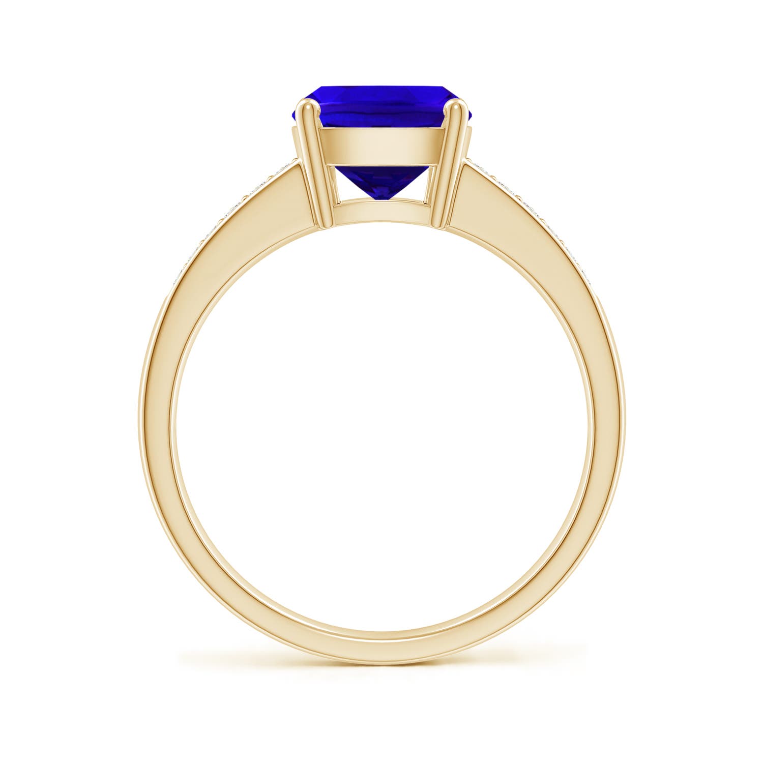 AAAA - Tanzanite / 2.62 CT / 14 KT Yellow Gold