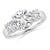 2 3/4 carats