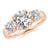 2 3/4 carats