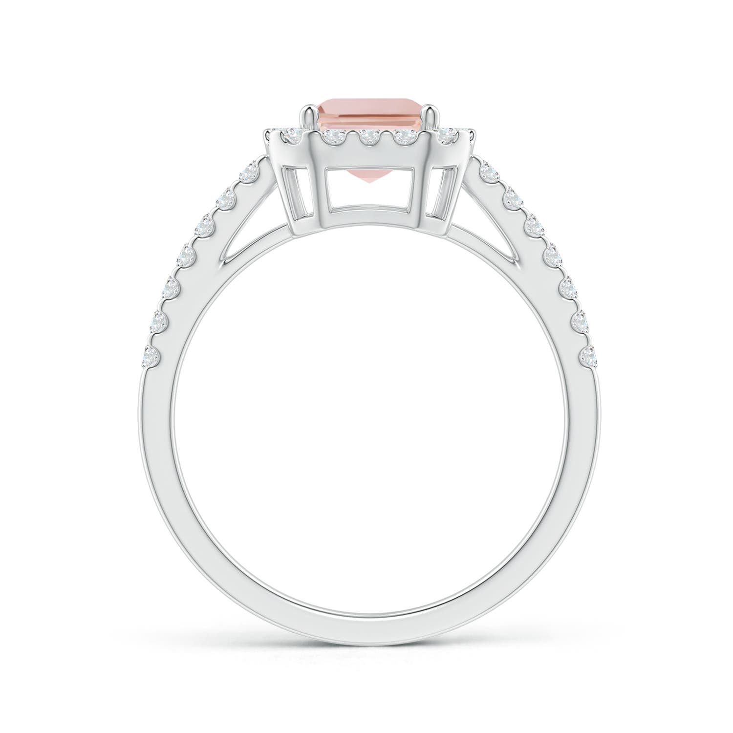 AAA - Morganite / 1.81 CT / 14 KT White Gold