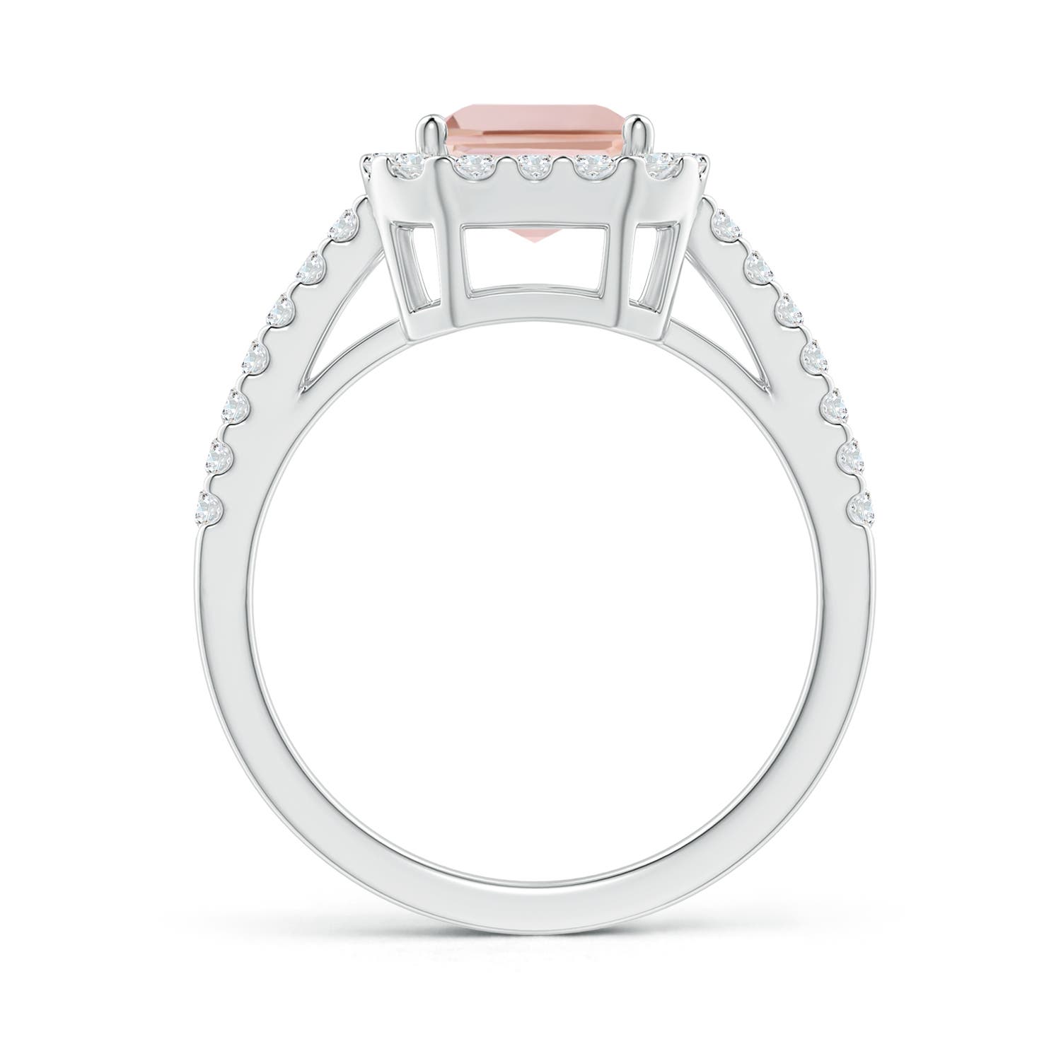 AAA - Morganite / 2.53 CT / 14 KT White Gold