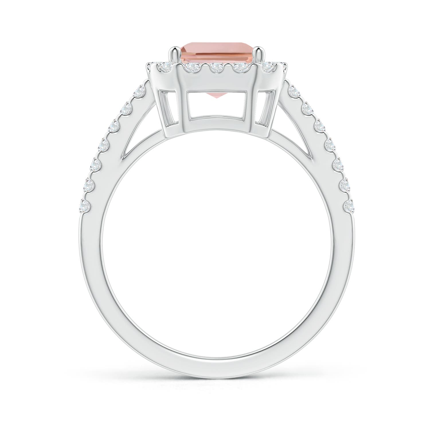 AAAA - Morganite / 2.53 CT / 14 KT White Gold