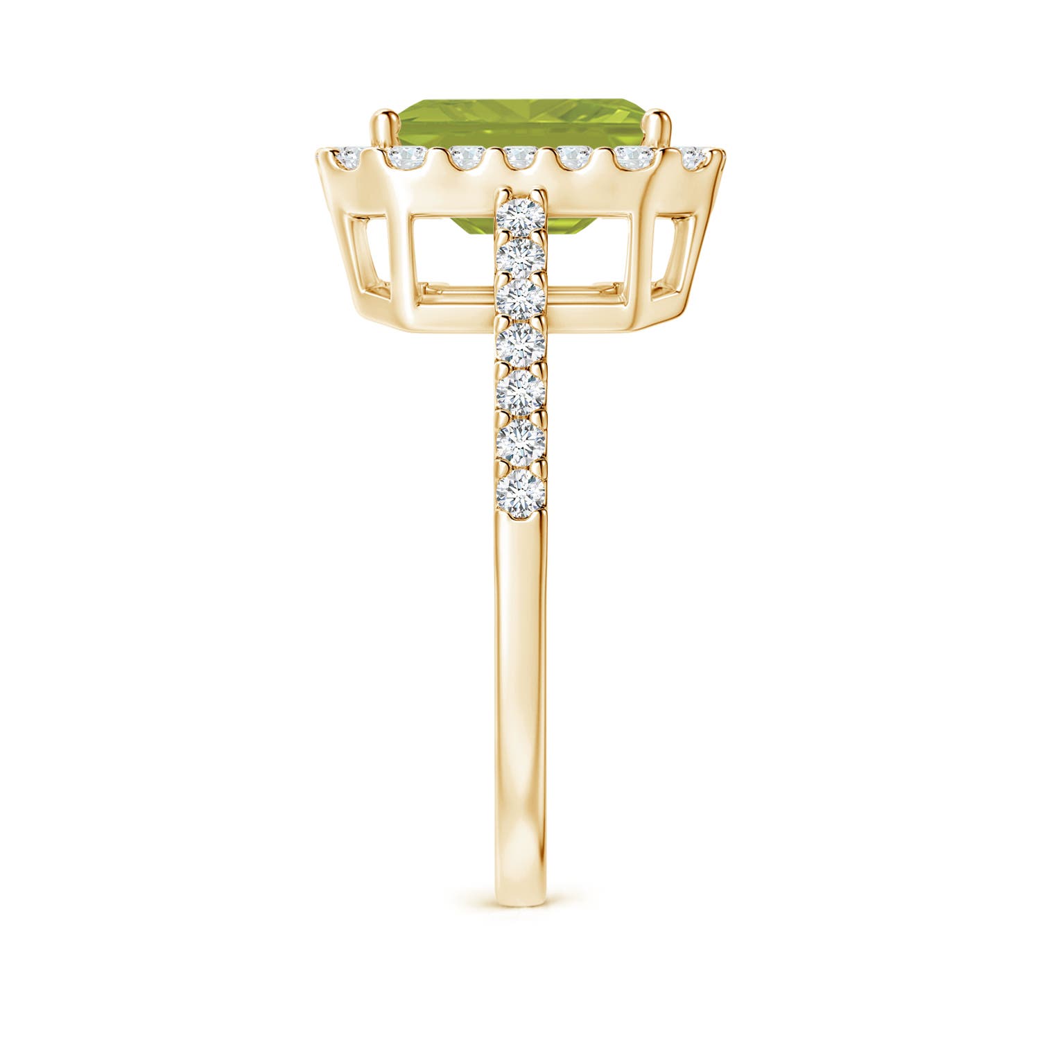 AA - Peridot / 2.83 CT / 14 KT Yellow Gold