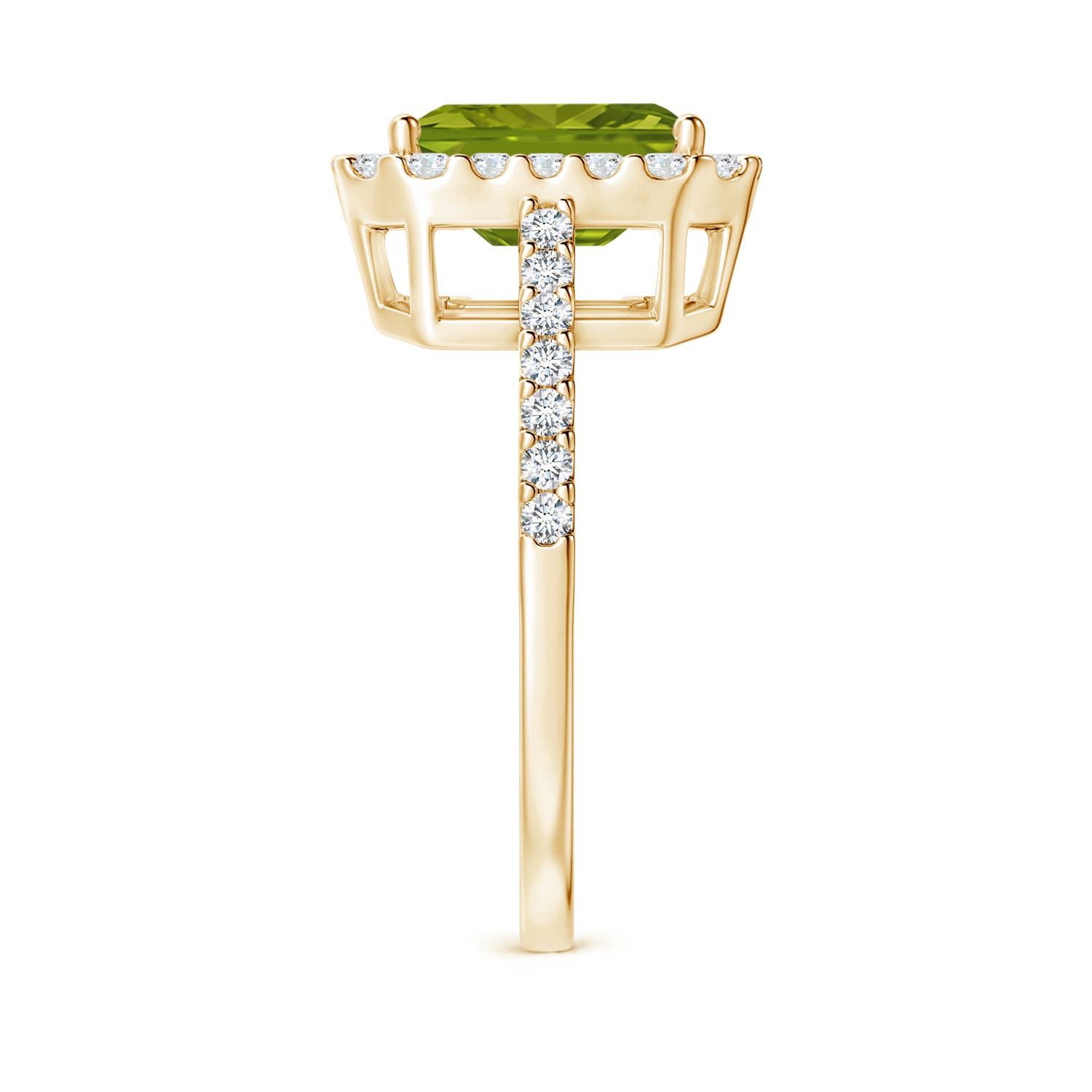 AAA - Peridot / 2.83 CT / 14 KT Yellow Gold