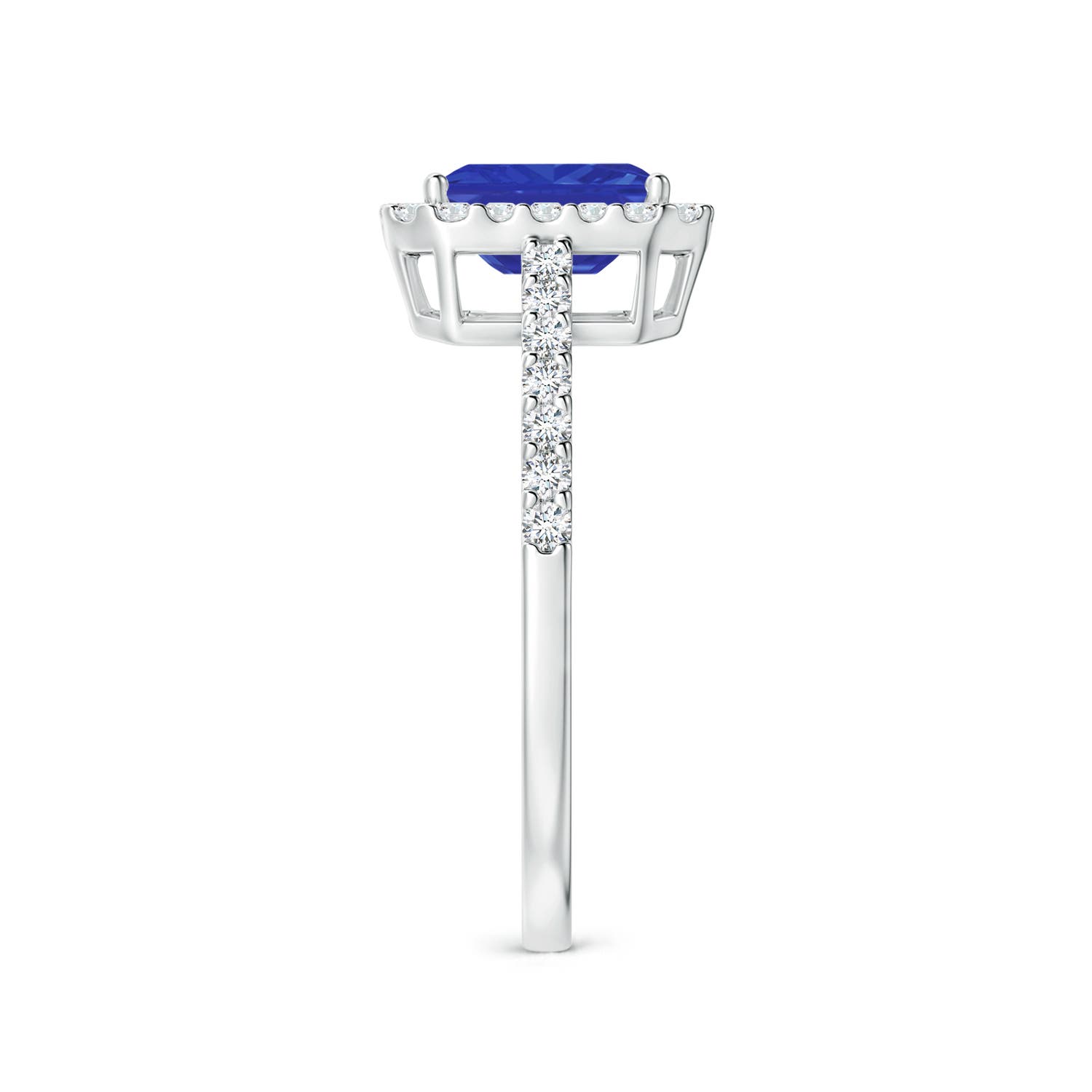 AAA - Tanzanite / 1.33 CT / 14 KT White Gold