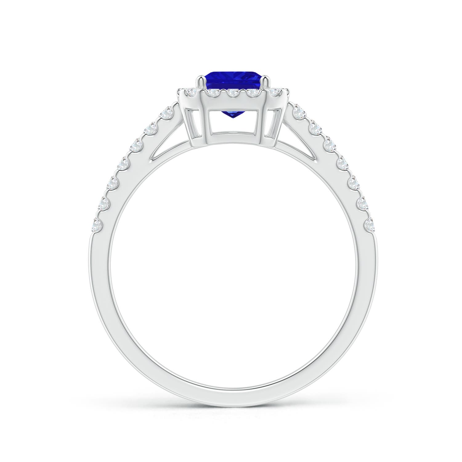 AAAA - Tanzanite / 1.33 CT / 14 KT White Gold