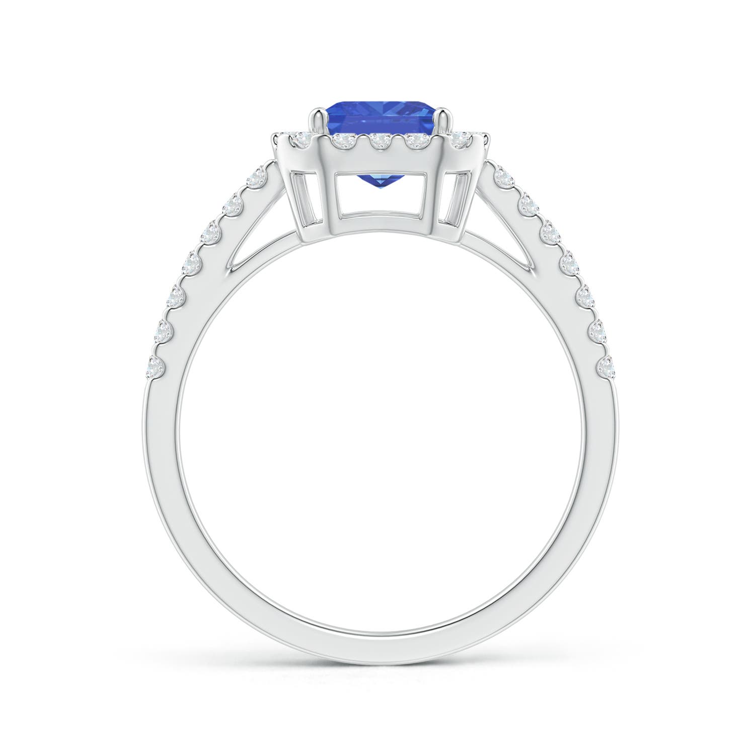 AA - Tanzanite / 1.91 CT / 14 KT White Gold