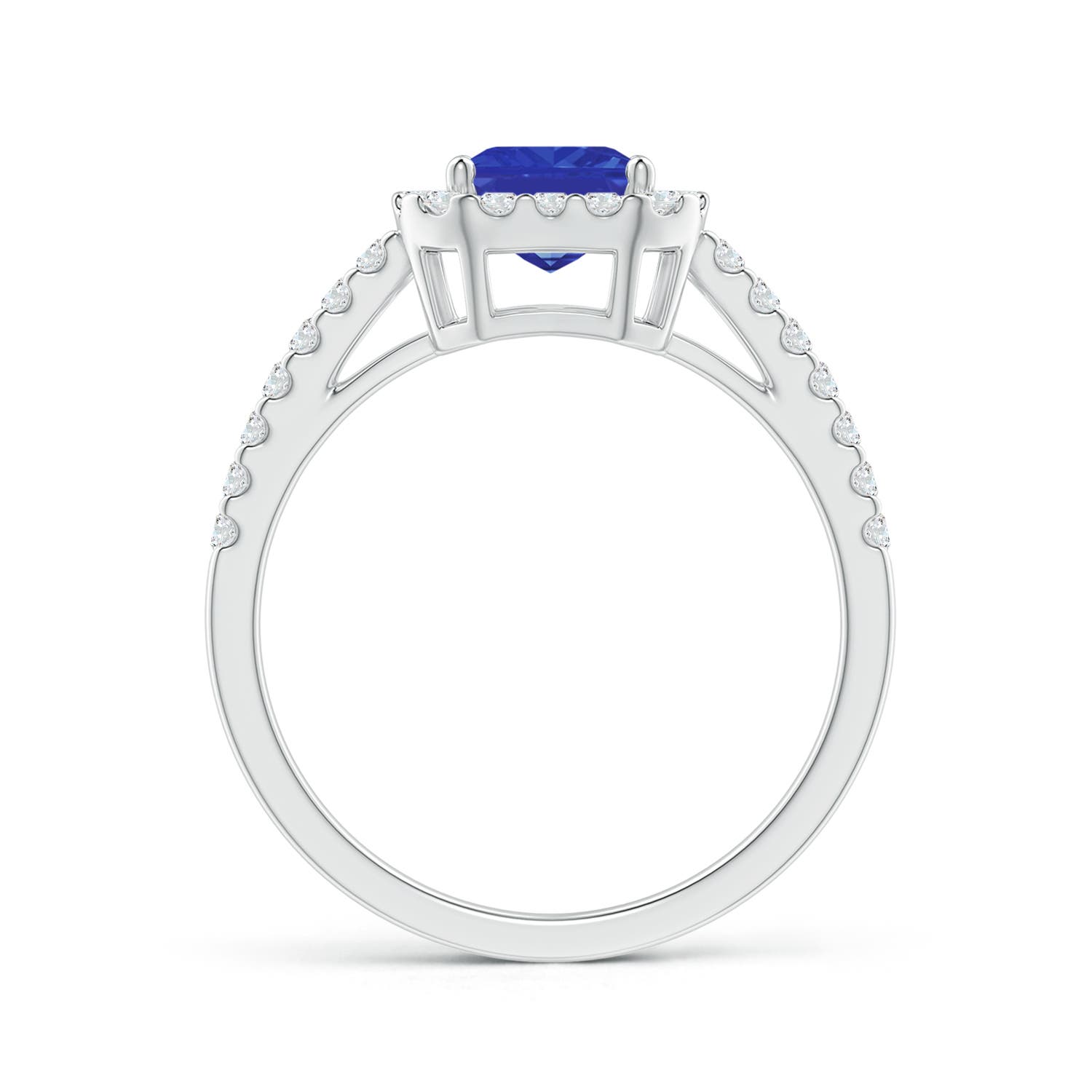 AAA - Tanzanite / 1.91 CT / 14 KT White Gold