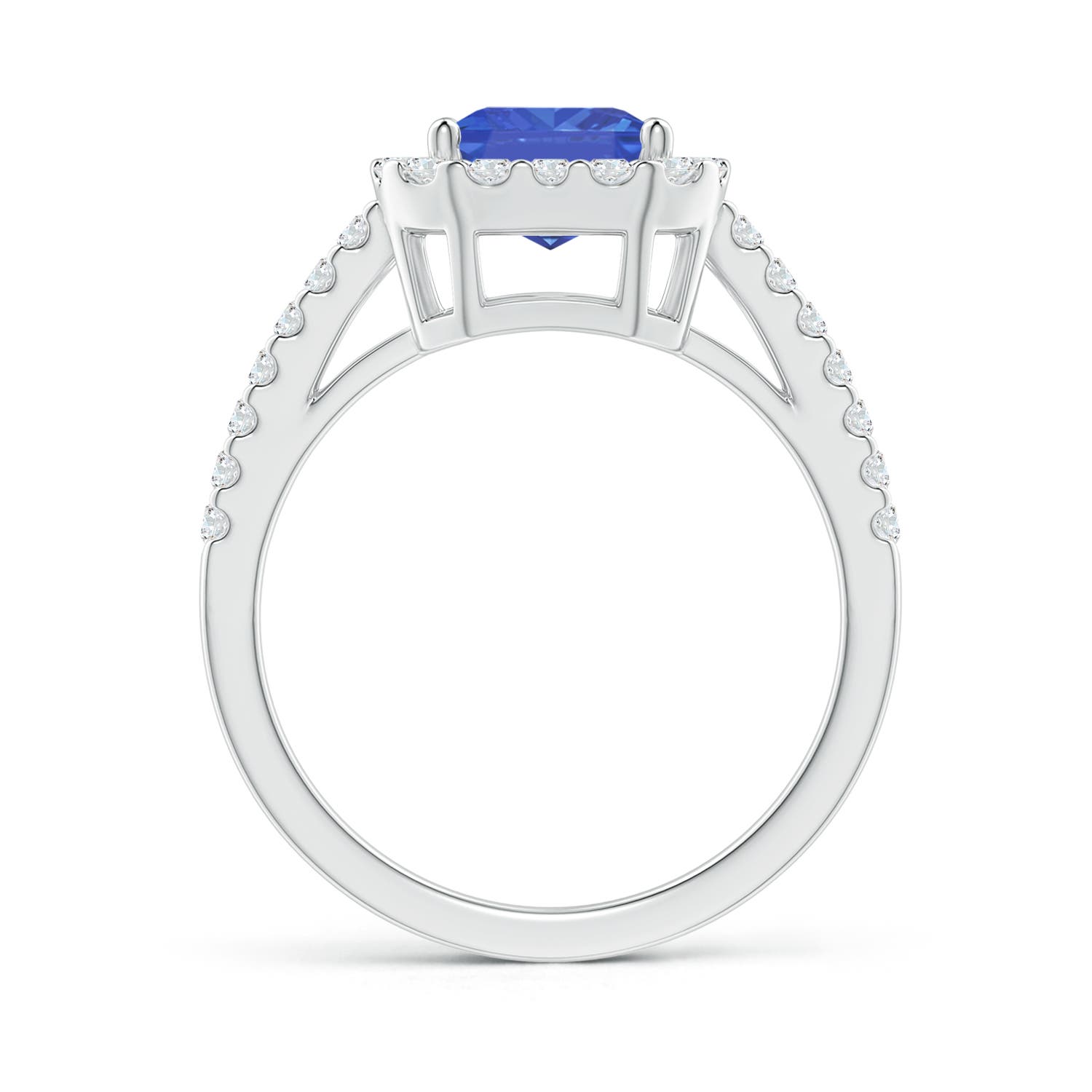 AA - Tanzanite / 2.88 CT / 14 KT White Gold