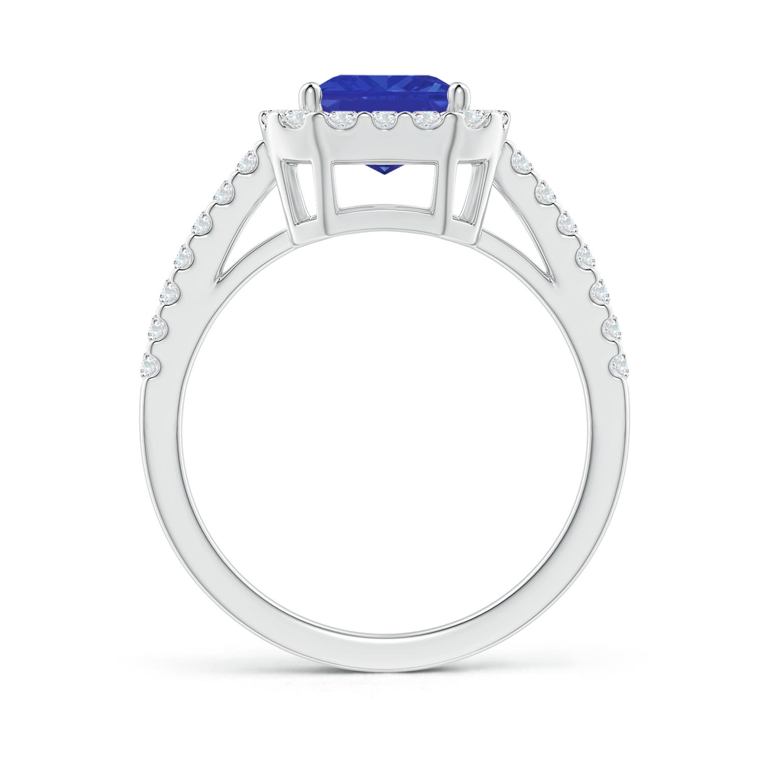 AAA - Tanzanite / 2.88 CT / 14 KT White Gold