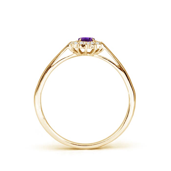 AAAA - Amethyst / 0.31 CT / 14 KT Yellow Gold