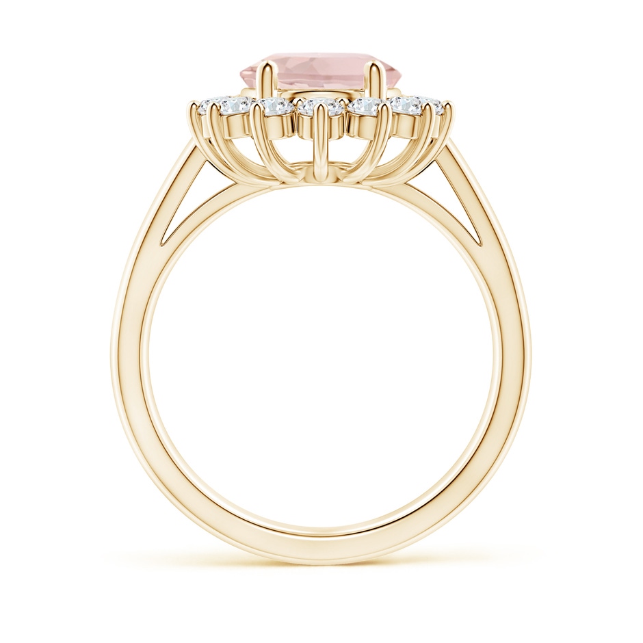 10x8mm A Princess Diana Inspired Morganite Ring with Diamond Halo in Yellow Gold side 199