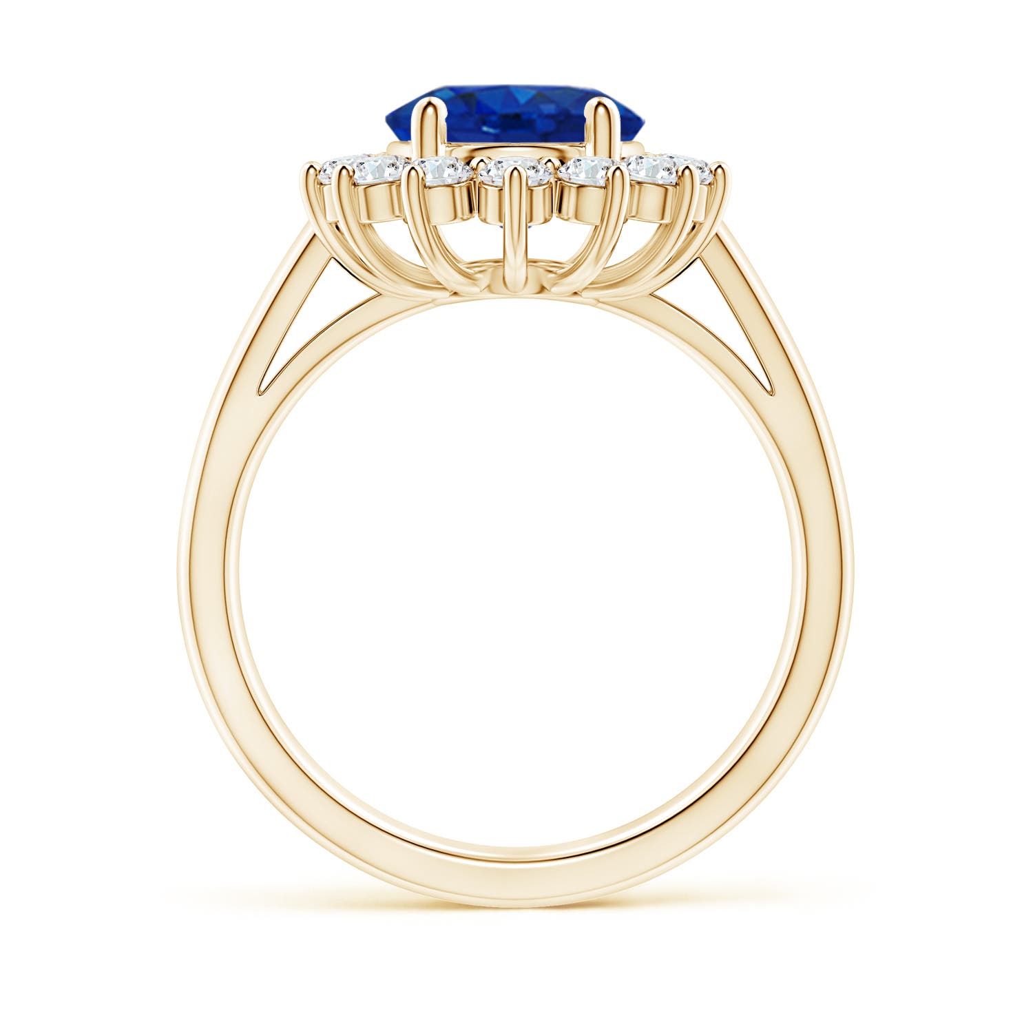 AAA - Blue Sapphire / 4.03 CT / 14 KT Yellow Gold