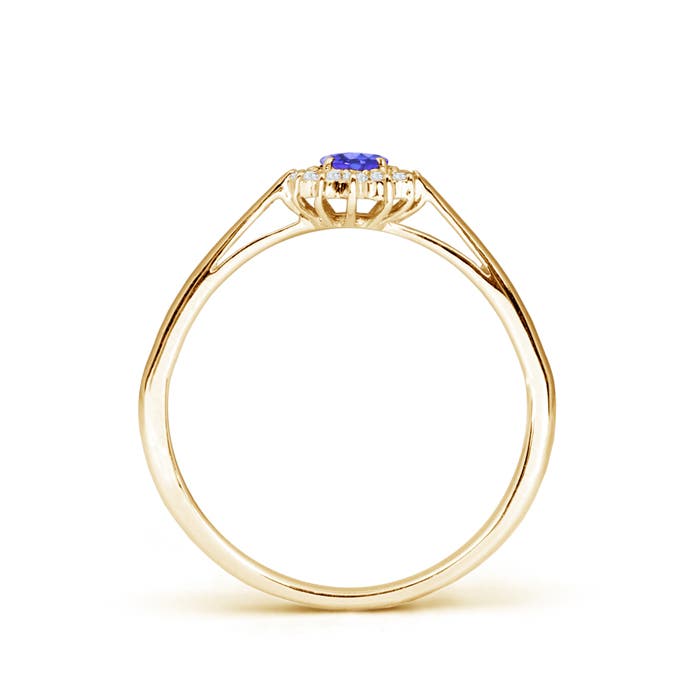 AAA - Tanzanite / 0.31 CT / 14 KT Yellow Gold