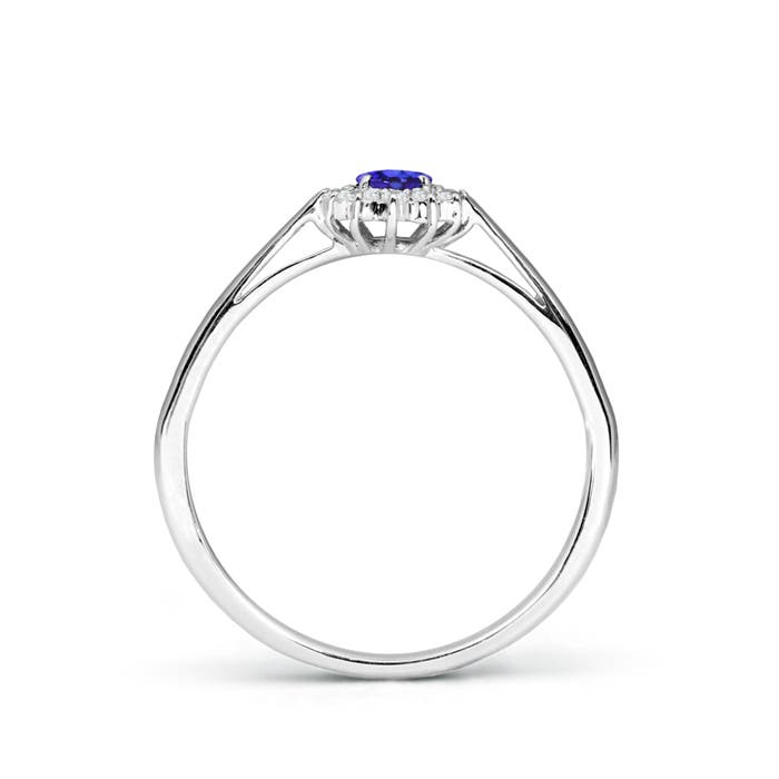 AAAA - Tanzanite / 0.31 CT / 14 KT White Gold