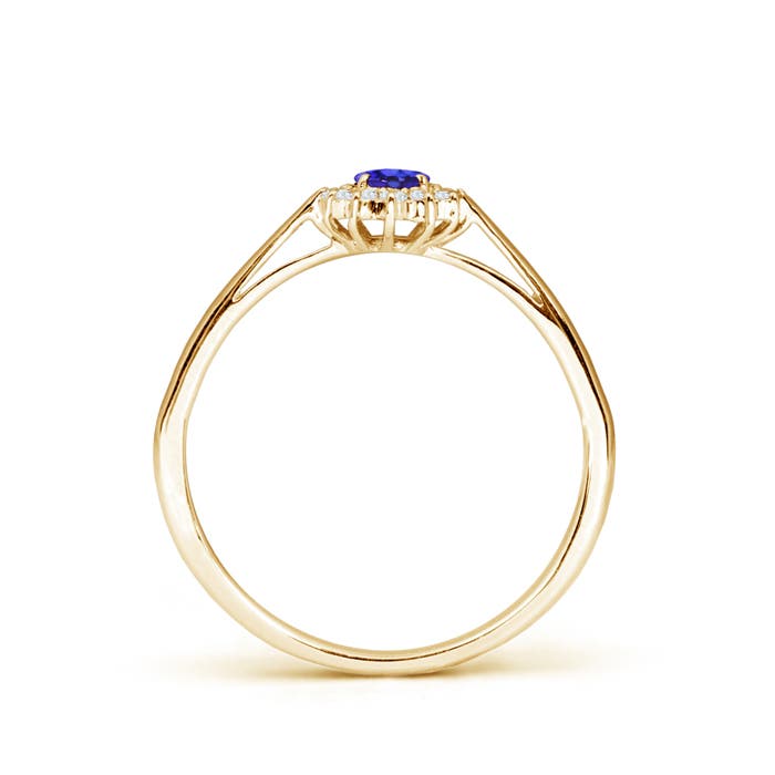 AAAA - Tanzanite / 0.31 CT / 14 KT Yellow Gold