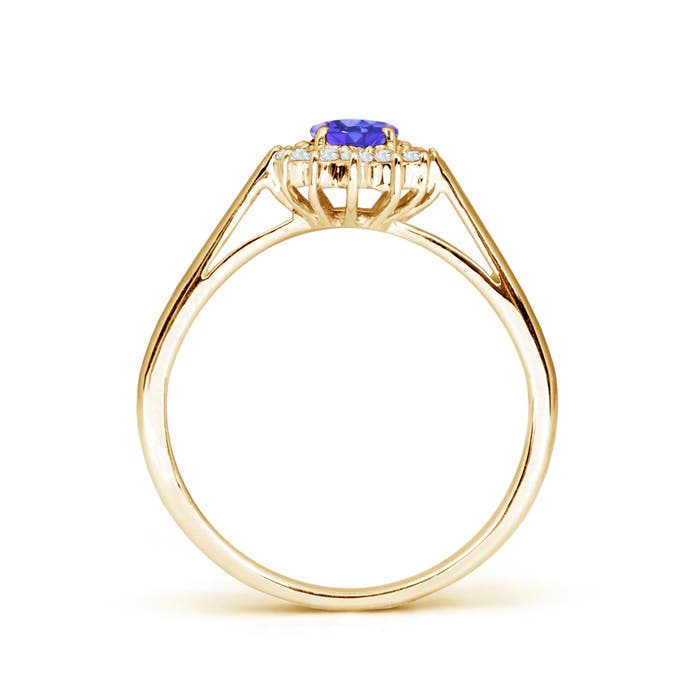 AAA - Tanzanite / 0.65 CT / 14 KT Yellow Gold