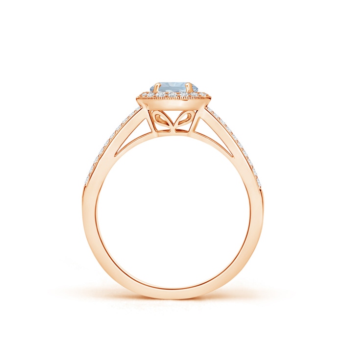 5mm A Round Aquamarine Split Shank Ring with Diamond Halo in Rose Gold side 199