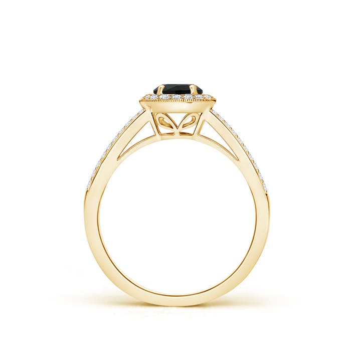 AAA - Black Onyx / 0.65 CT / 14 KT Yellow Gold