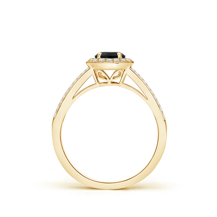 5mm AAA Round Black Onyx Split Shank Ring with Diamond Halo in Yellow Gold Product Image