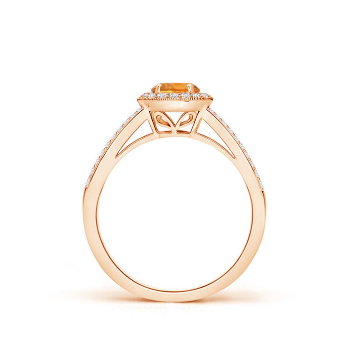 AAA - Citrine / 0.75 CT / 14 KT Rose Gold