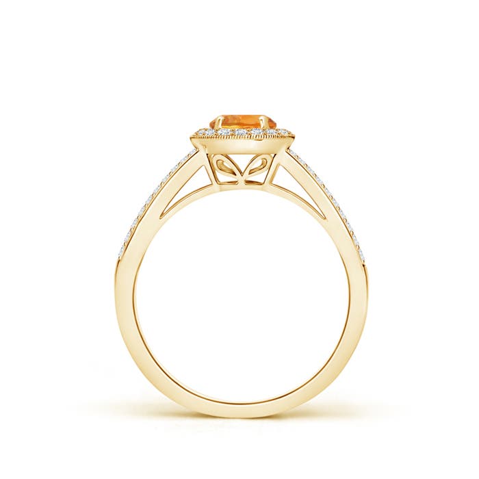 AAA - Citrine / 0.75 CT / 14 KT Yellow Gold